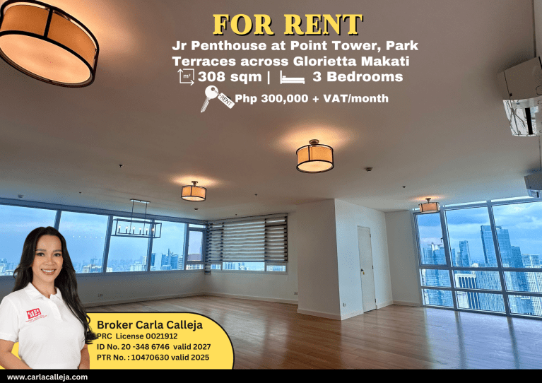 Illustration of Penthouse And Suburban Rentals