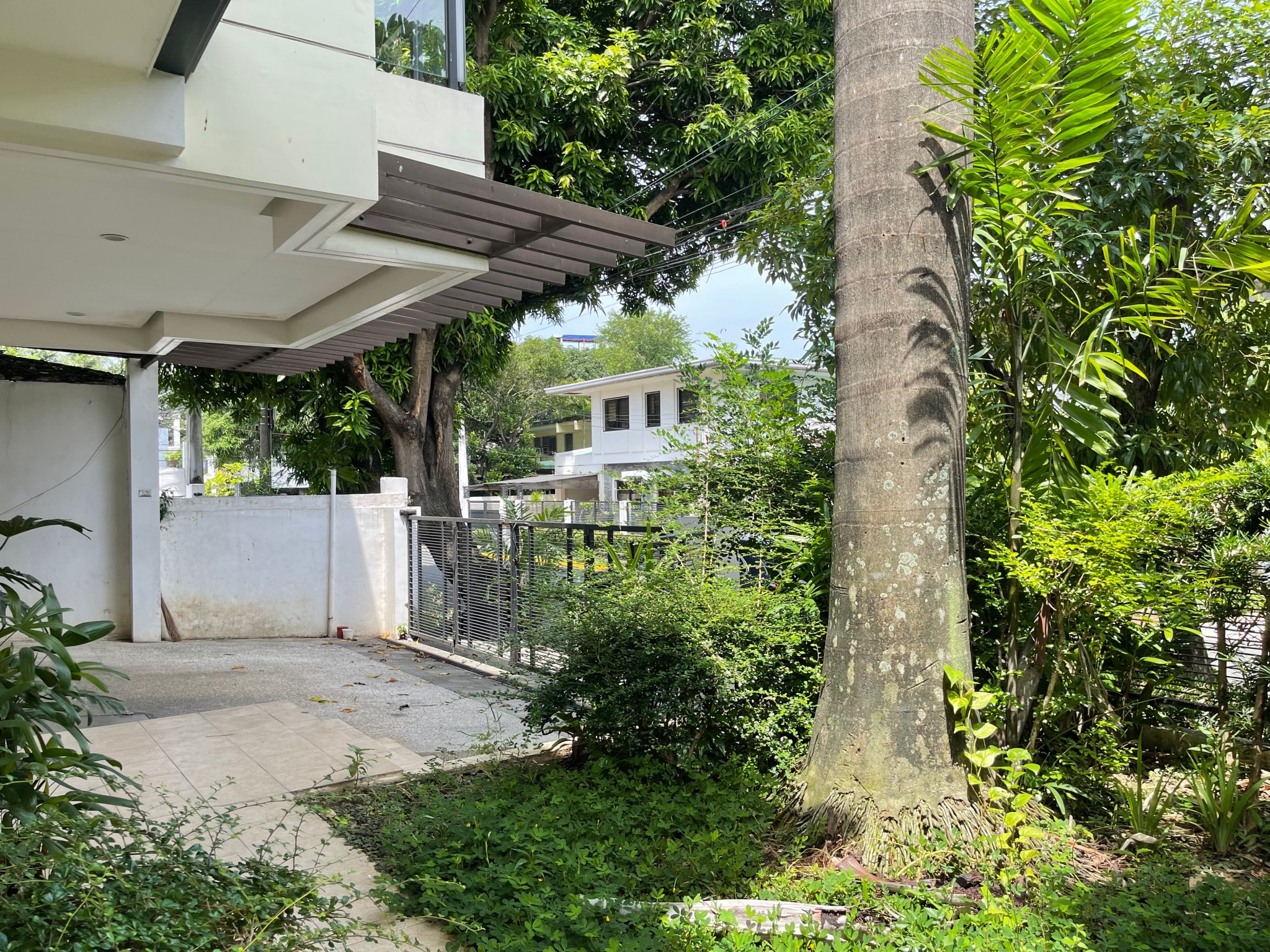 Garden view from a Magallanes Village house for sale