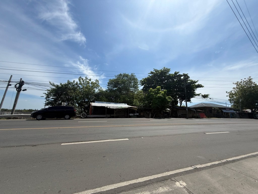 Actual photo: road frontage and trees on the Tambler, General Santos lot